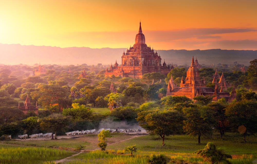 Bagan Temple Plains gallery image